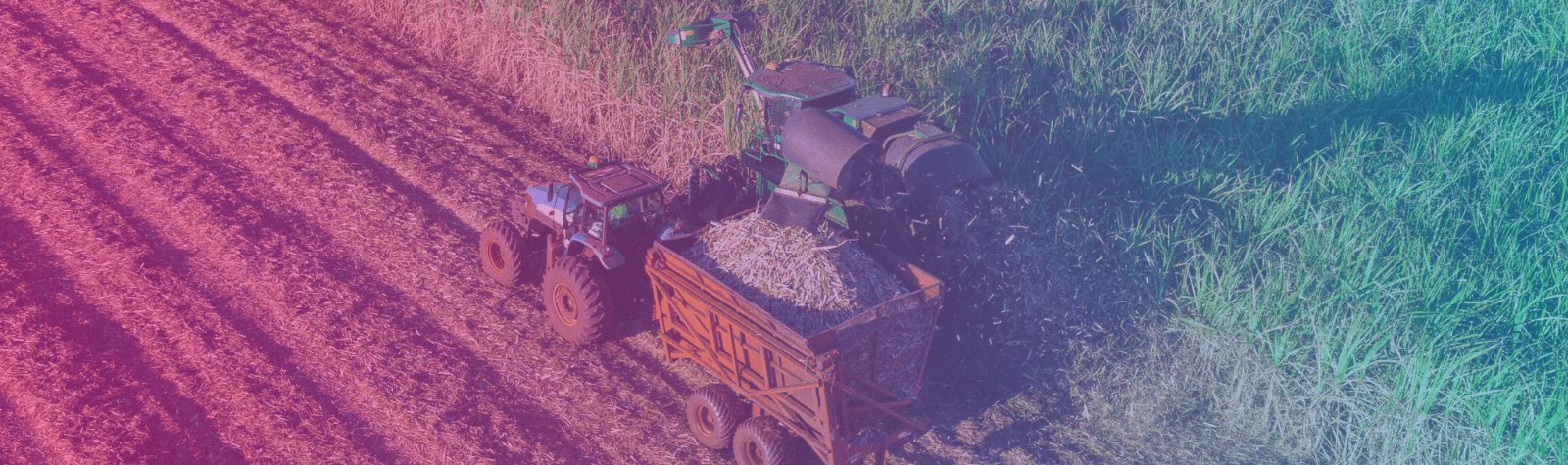 Máquina agrícola para gestão de riscos no agronegócio