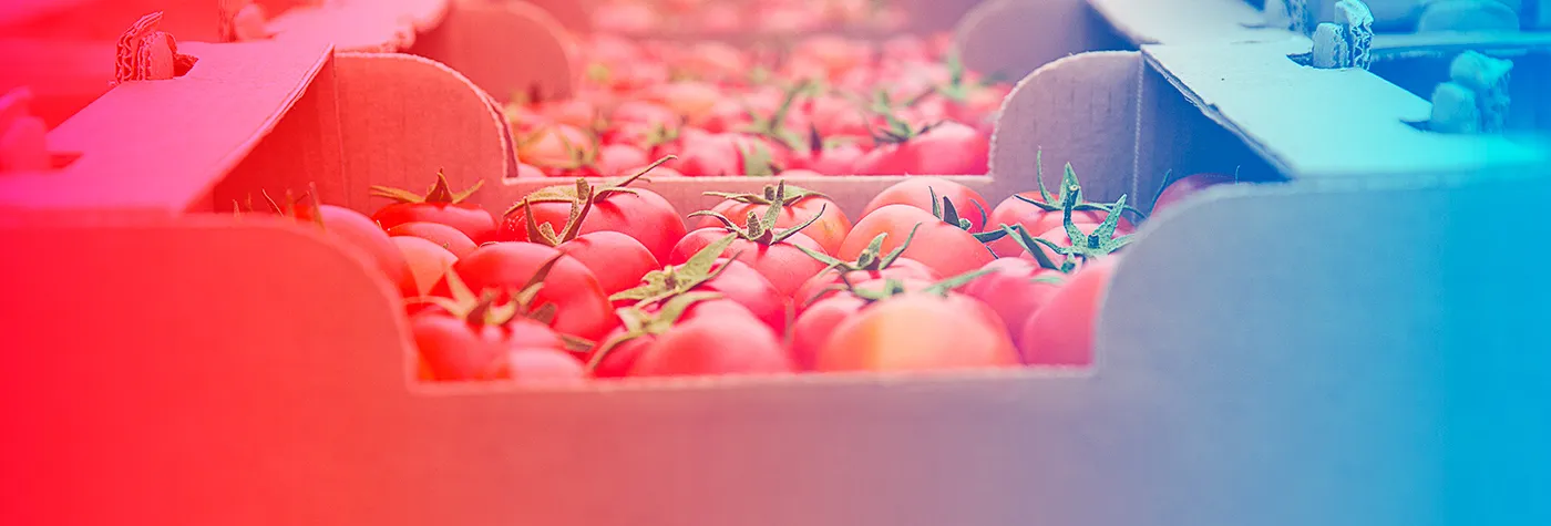 Transporte de carga perecível: exigências e cuidados essenciais