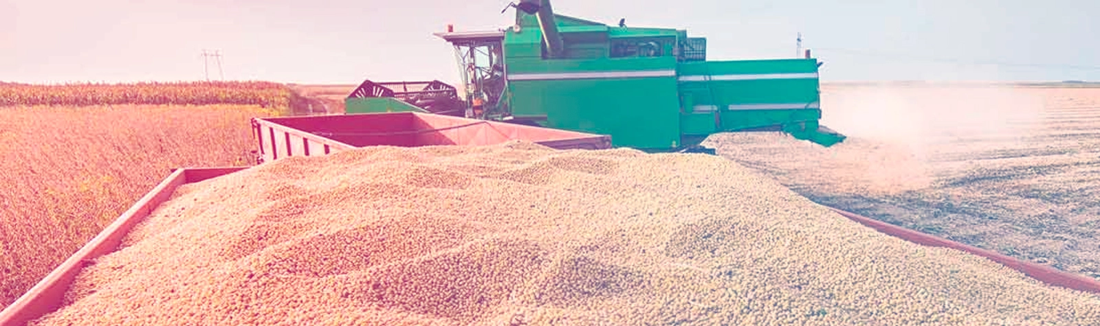 Principais cuidados no transporte de soja para evitar perdas na carga