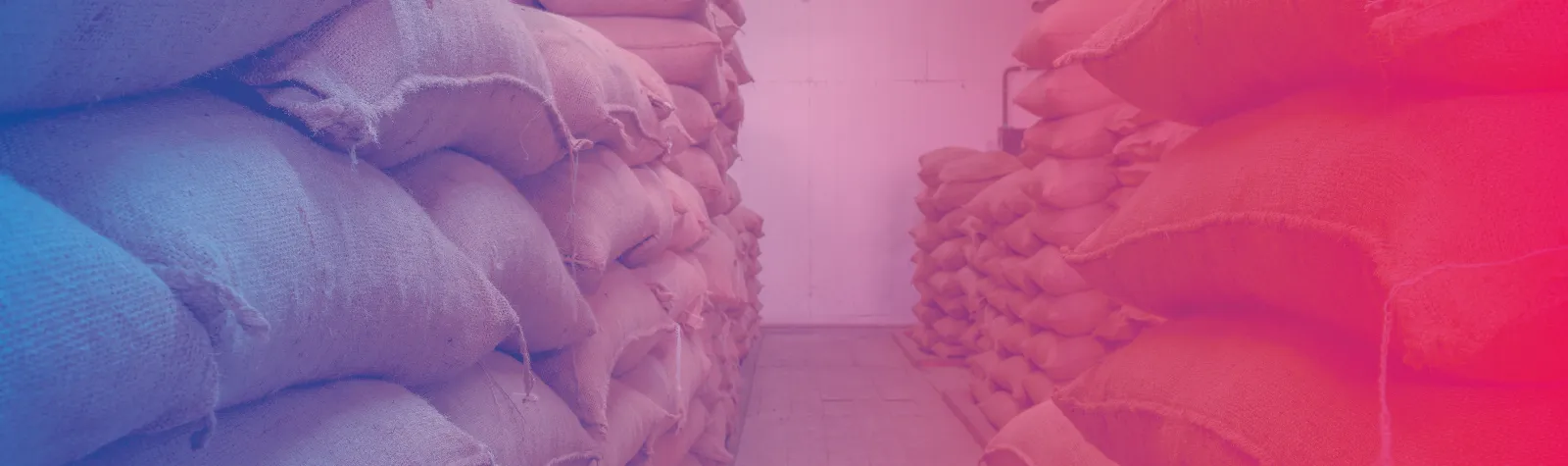 Principais cuidados na armazenagem de grãos para evitar perdas