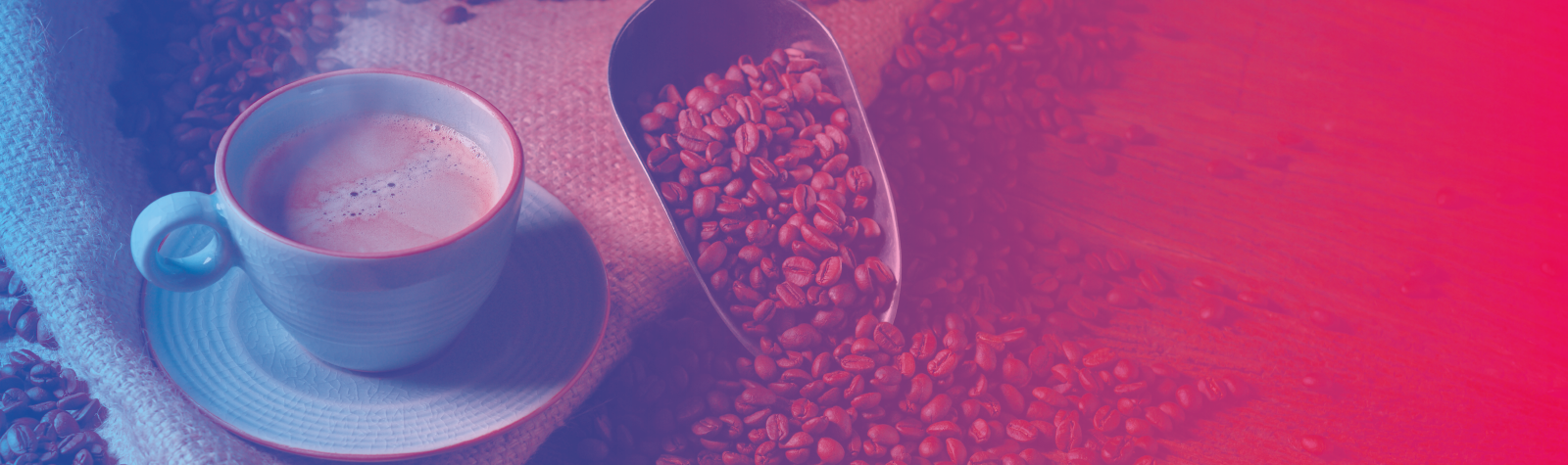 Produção de café no Brasil e principais riscos no transporte de cargas