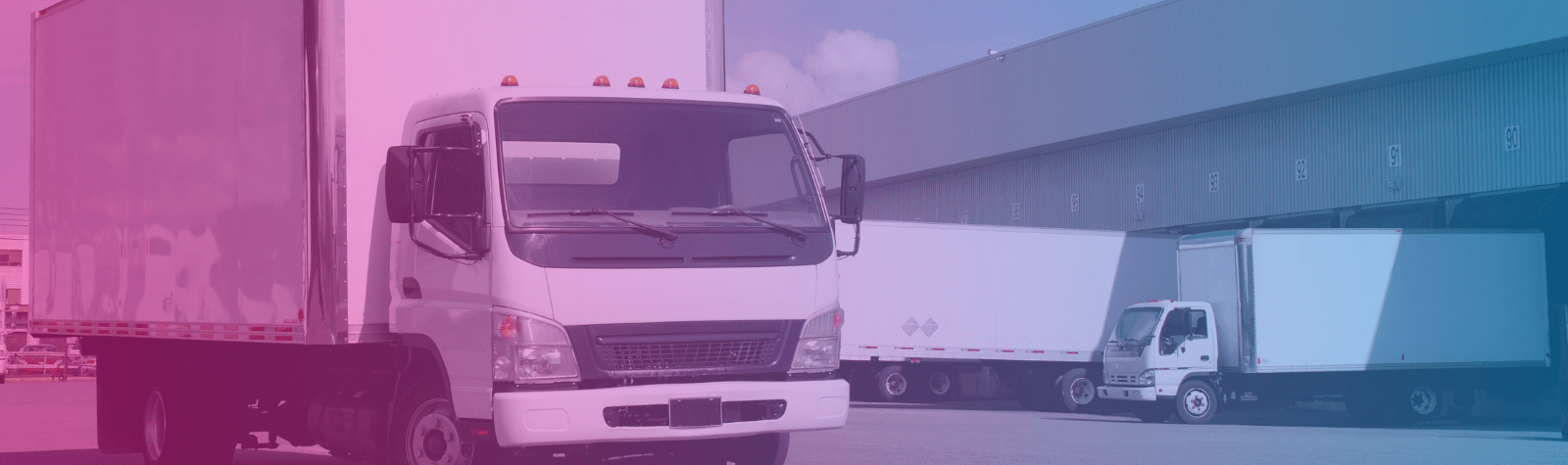 Picking: como aumentar a eficiência dos processos logísticos na transportadora