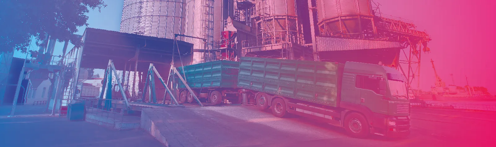 Safra de soja: como garantir a segurança no transporte nesse ano