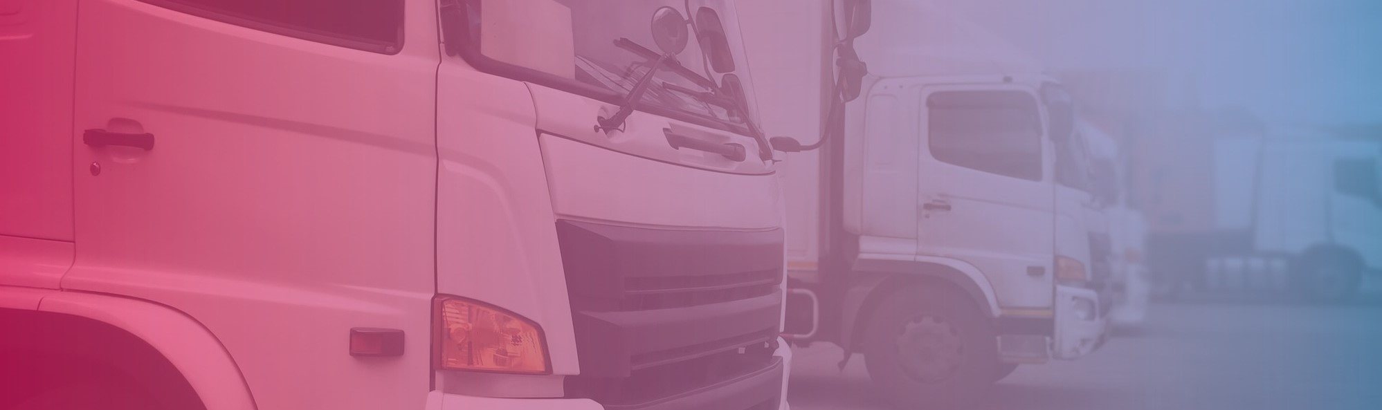 Homicídios por motorista embriagado pode se tornar crime hediondo