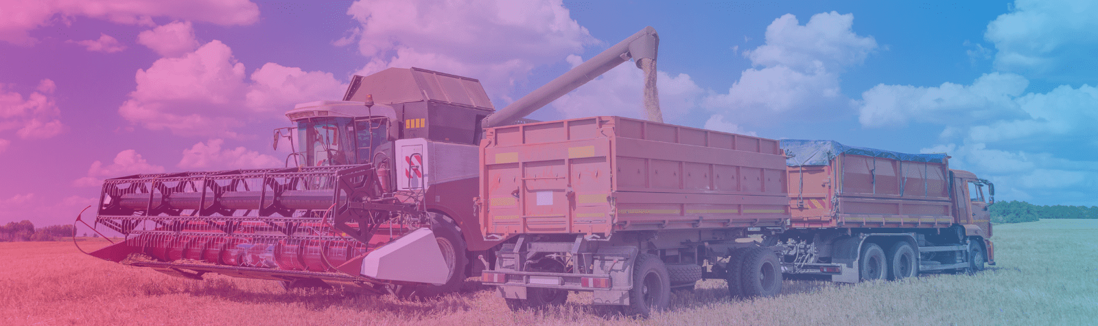 Transporte de grãos: ações para evitar perdas com a carga